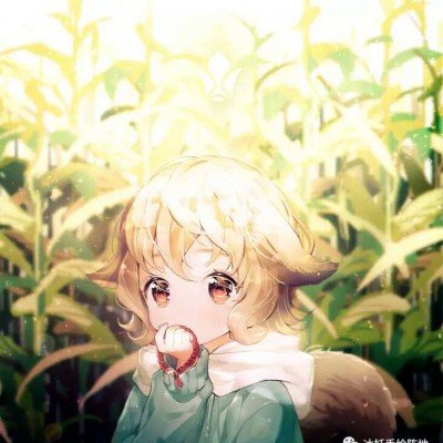 72岁赵雅芝67岁陈美琪再同框